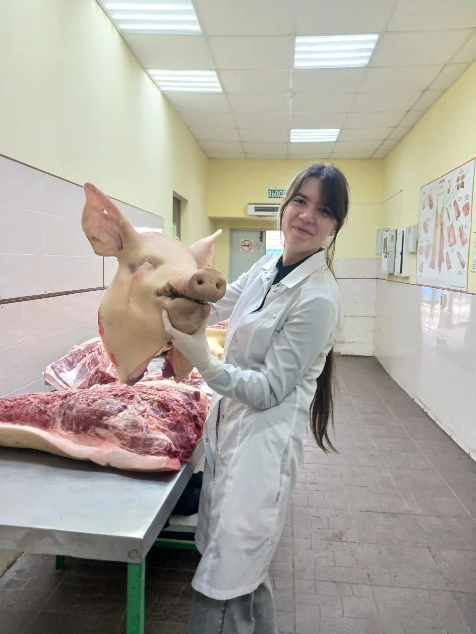 Стажировка студентов специальности «Ветеринария» на станции по борьбе с болезнями животных