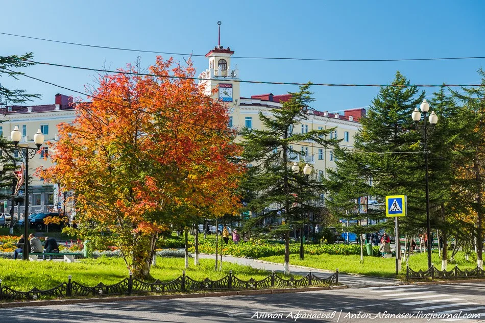 Осень близко — время витаминов!